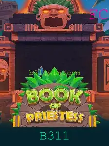 Descubra o Fascinante Mundo de BookOfPriestess: Aventura e Estratégia