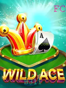 Explorando o Mundo de WildAce: Regras e Novidades do Jogo